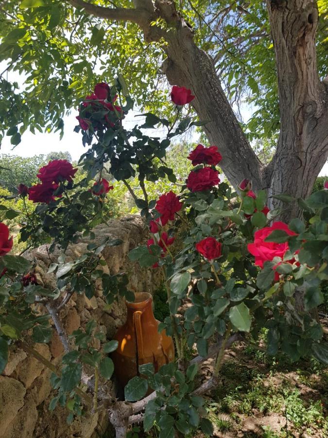 Trullo Del Cavaliere Delle Gravine Villa Castellaneta Ngoại thất bức ảnh